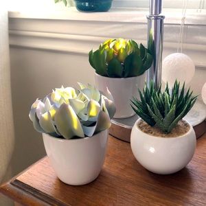✨ 3 Adorable Fake Succulent Pots ✨